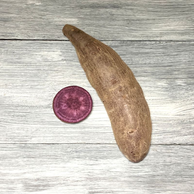 竜ケ崎紫（紫色の果肉）