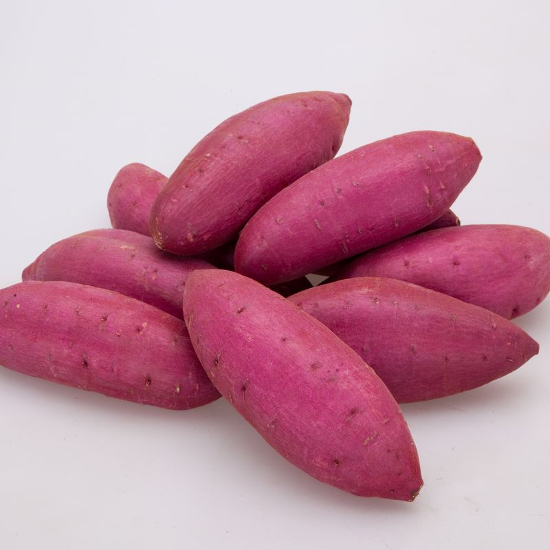 シルクスイート（外観）