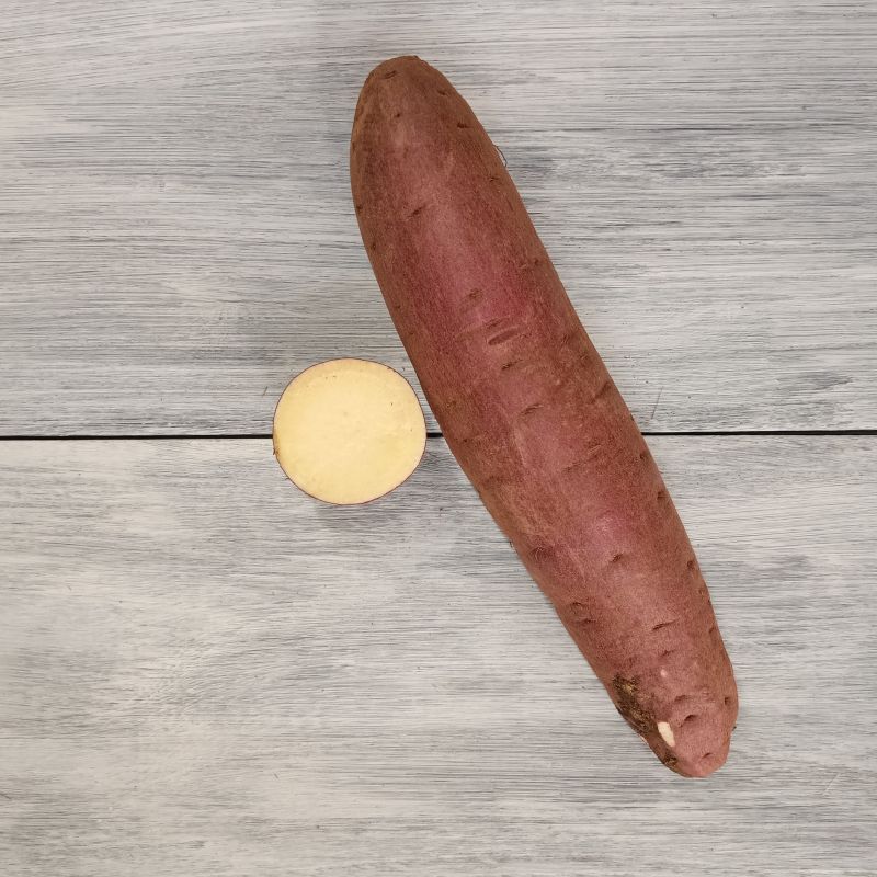 すずほっくり（断面と外観）