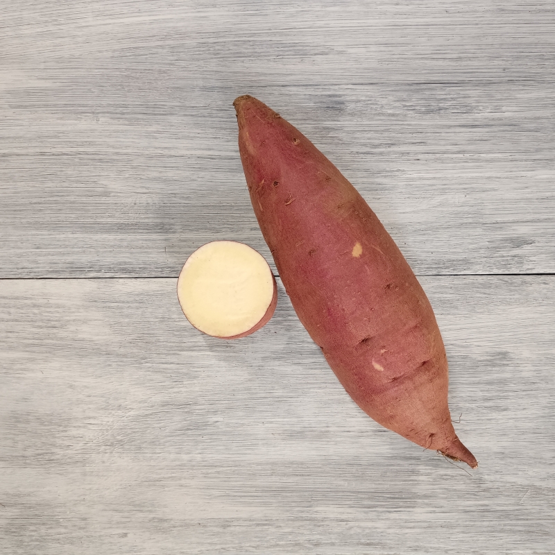 ゆきこまち（断面と外観）